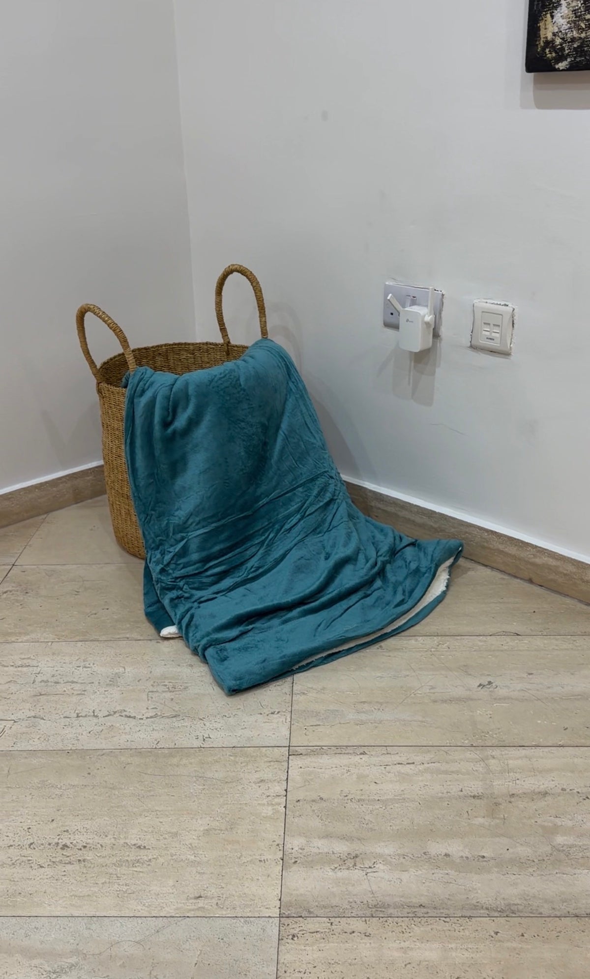 Mink Sherpa blanket with pillow cases (250gh)